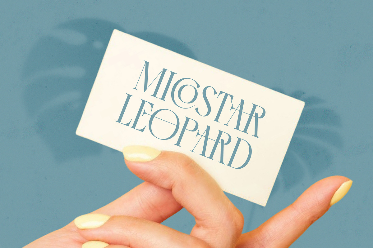 Comela Elegant Ligature Serif, a Serif Font by timelesstype.co (Photo 3 of 20)