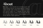 Diona Sans - Font Family, a Sans Serif Font by iqbal habibi (Thumbnail 2 of 11)