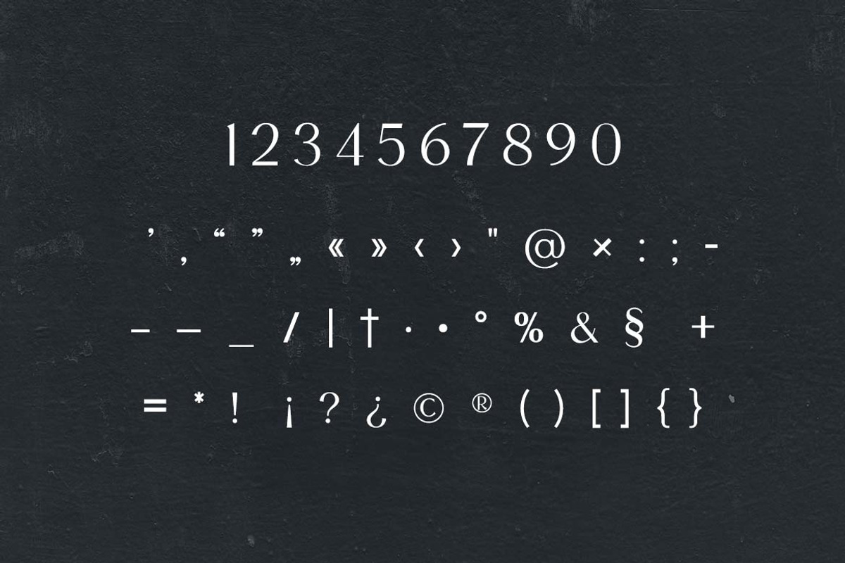 Biconvex Elegant Serif Font, a Serif Font by UICreative (Photo 9 of 13)