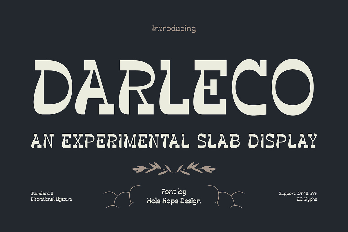 Darleco | Experimental Slab Display, a Slab Serif Font by Hole Hope Design (Photo 1 of 10)