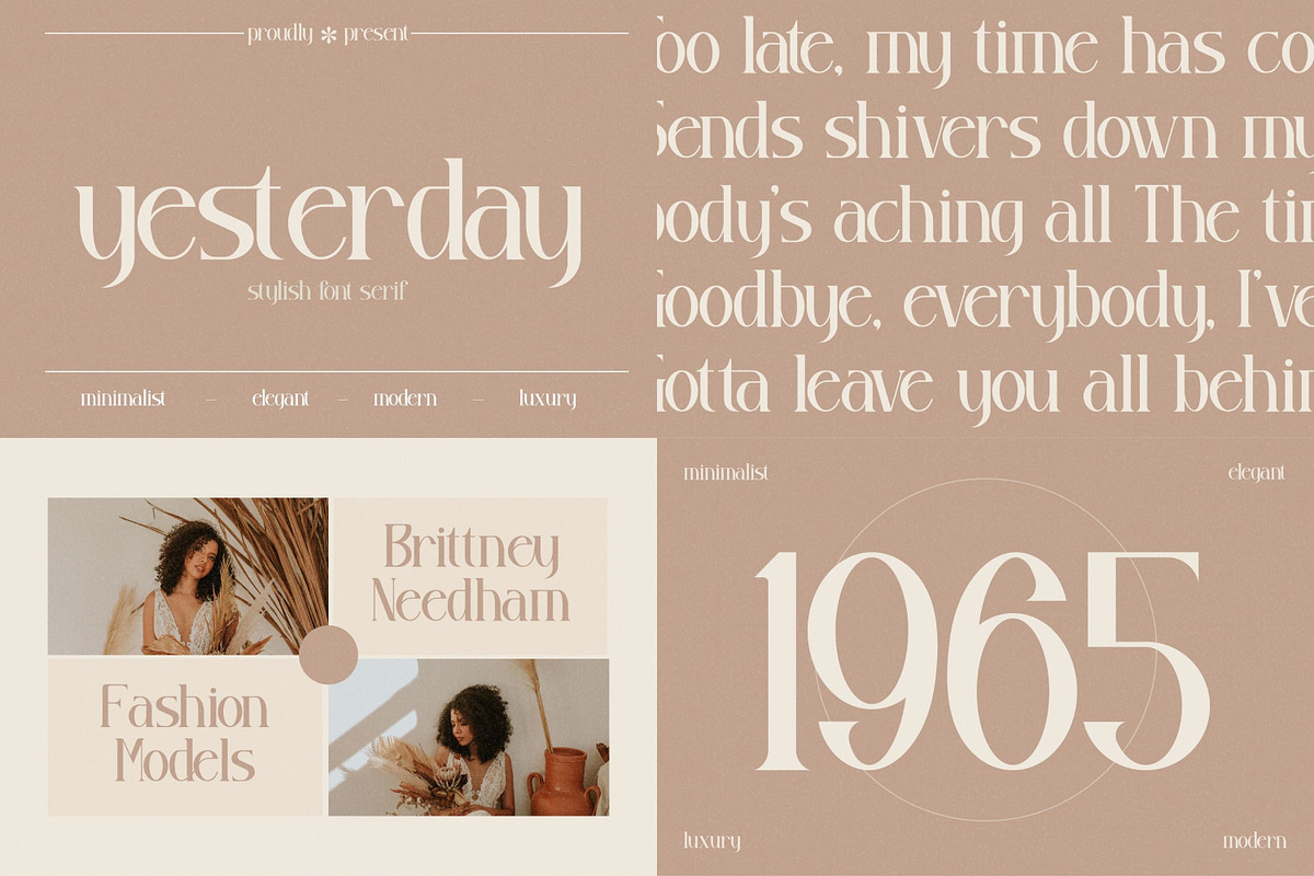 SALE! Mega Bundle 100+ Modern Font!, a Serif Font by Storytype Studio (Photo 78 of 111)