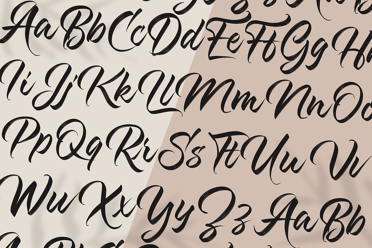 Kashina Brush Script, a Script Font by Debut Studio (Photo 8 of 9)