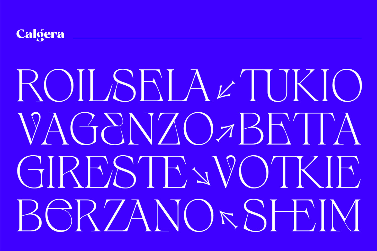 Calgera, a Serif Font by TRF Fonts (Photo 5 of 16)