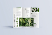 Trifold Brochure Mockup, a Print Template by mockupatelier (Thumbnail 14 of 15)