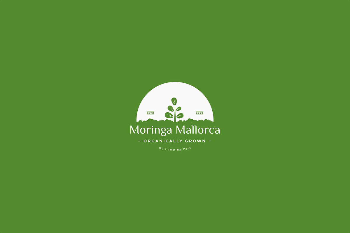 Moringa Leaf Logo, a Branding & Logo Template by zuhudsgn (Photo 2 of 3)