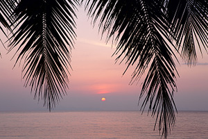 Tropical sunset stock photo containing background and beach