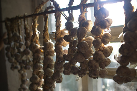 braided garlic hanging from the window