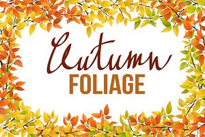 Set of autumn tree branches