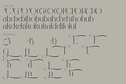 Abigail, a Serif Font by Kenrichi (Thumbnail 9 of 9)