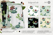 Cacti & Succulents, a Decorative Illustration by Anna Myslivets Art (Thumbnail 6 of 9)