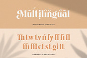 Regint | Display Serif, a Serif Font by Runsell Studio (Thumbnail 14 of 15)