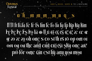 Christmas Fecsival – Elegant Serif, a Serif Font by Letterara (Thumbnail 13 of 15)