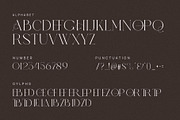 Herqin Elegant Ligature Serif Font, a Serif Font by Perfectype (Thumbnail 6 of 6)