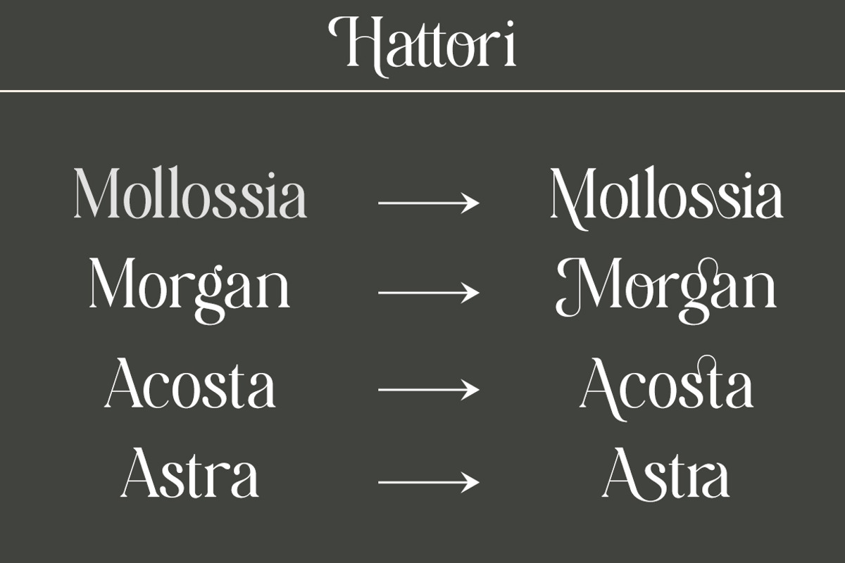 Hattori Elegant Font, a Serif Font by Zane Studio (Photo 12 of 13)