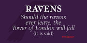 Witchcraft, a Serif Font by Alan Meeks Collection (Thumbnail 1 of 4)
