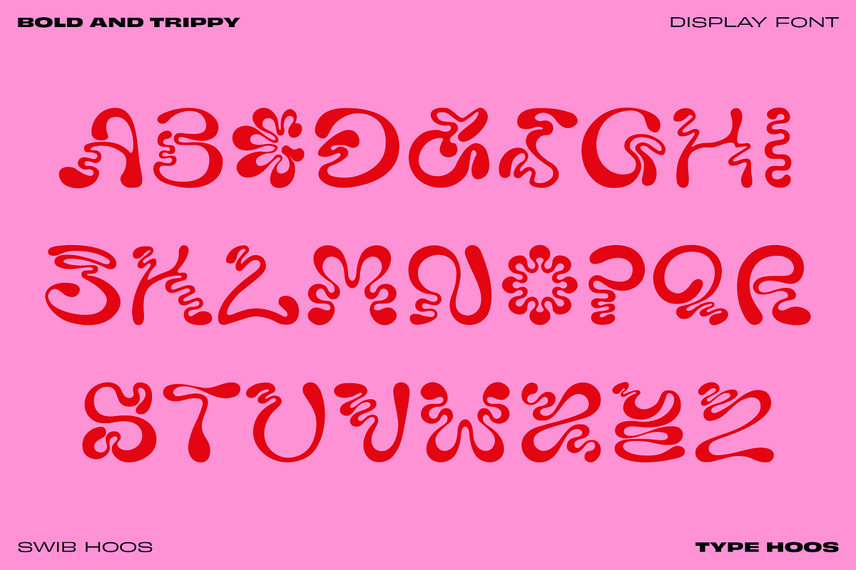 Swib Hoos - Display Font, a Handwritten Font by Type Hoos (Photo 3 of 8)