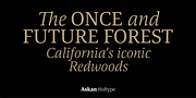Askan, a Serif Font by Hoftype (Thumbnail 9 of 14)