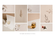 Rosa - Stock Photo & Mockup Bundle, an iPhone Mockup by Moyo Studio (Thumbnail 3 of 15)