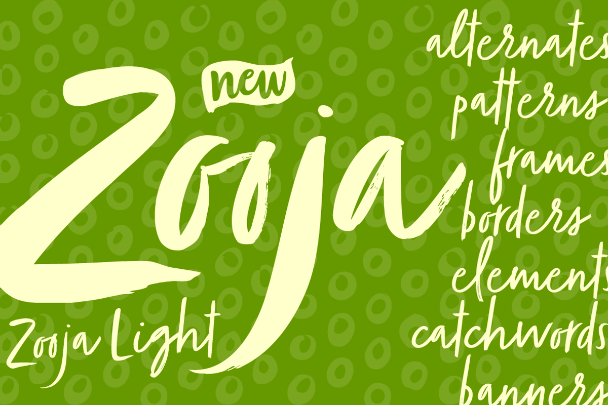 Zooja Script, a Script Font by Aerotype (Photo 5 of 17)