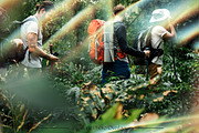 Prismatic Photo Overlays, a Texture Graphic by Freezerondigital (Thumbnail 5 of 11)