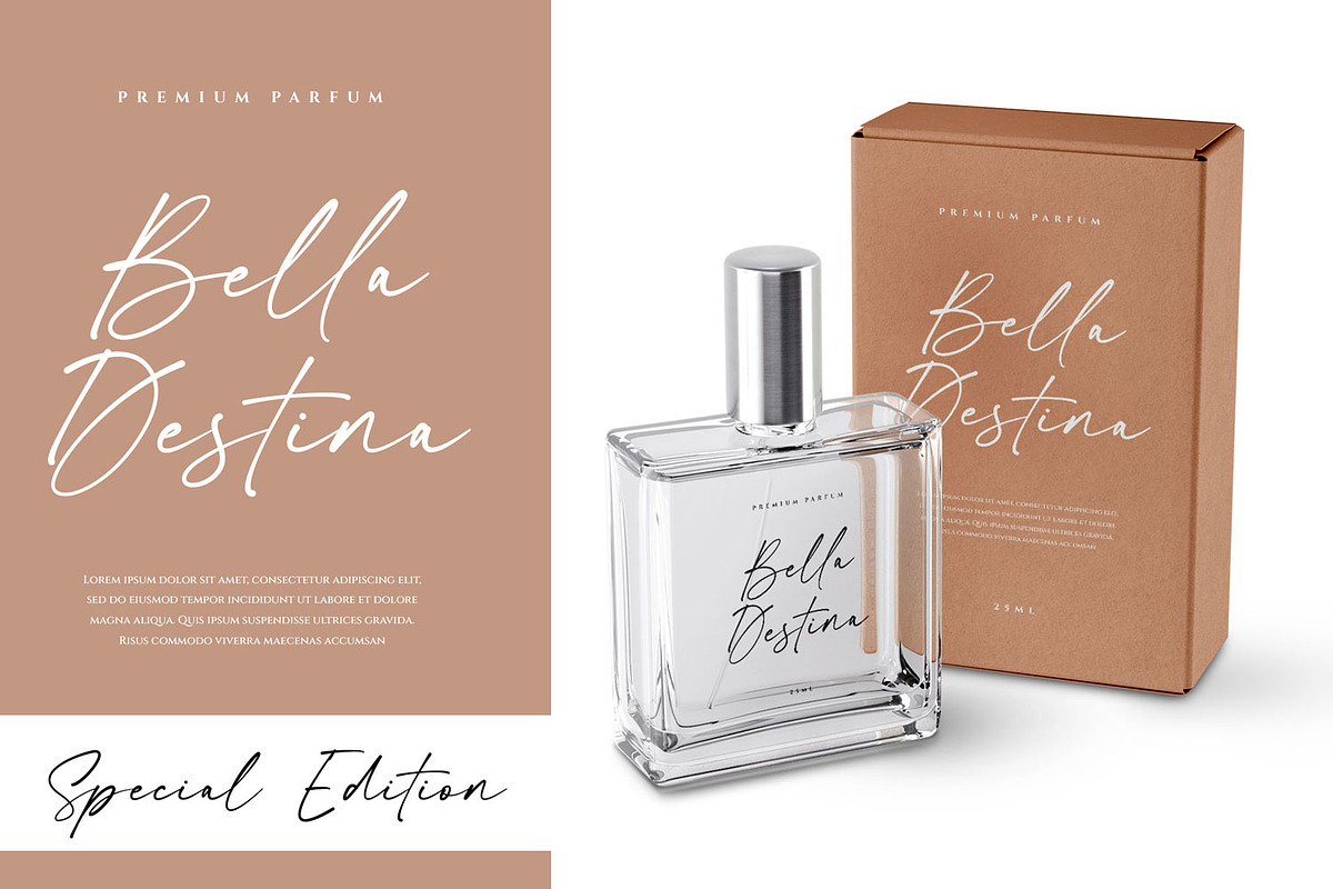 Castely Signature Business Font, a Handwritten Font by RantautypeStudio (Photo 7 of 15)