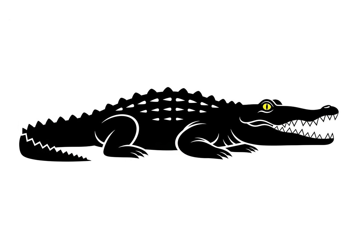 Crocodile Alligator Vector Bundle, an Illustration by jahid234 (Photo 44 of 51)