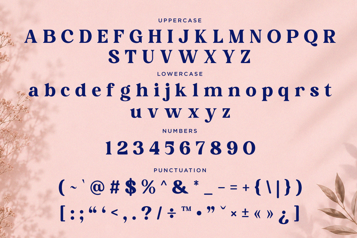 Calteo - Luxury Serif for Branding, a Serif Font by RagamKata (Photo 11 of 11)