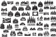 Majestic Pine Trees SVG, a Finance Illustration by Amazin_art (Thumbnail 1 of 34)