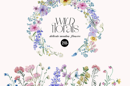Wild Florals Collection, an Illustration by SunnyAfternoons