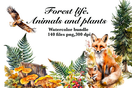 Watercolour Animals and plants, an Animal Illustration by AkvarelRiver