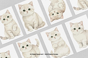 15 Bundle Watercolor White Kitten, an Animal Illustration by Morspective (Thumbnail 3 of 8)