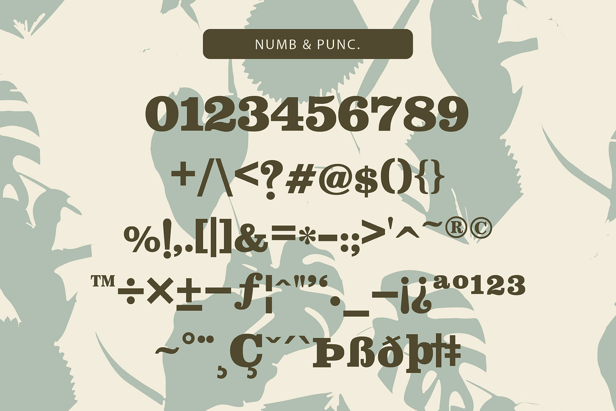 Lousiana Grande - Modern Serif, a Serif Font by Lemon Studio Type (Photo 5 of 7)