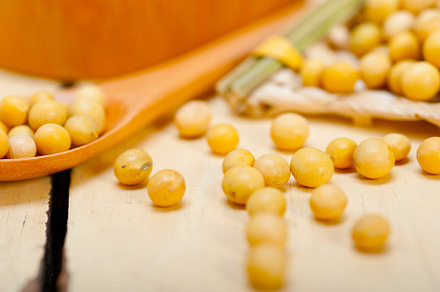 organic soya beans, a Food & Drink Photo by keko64