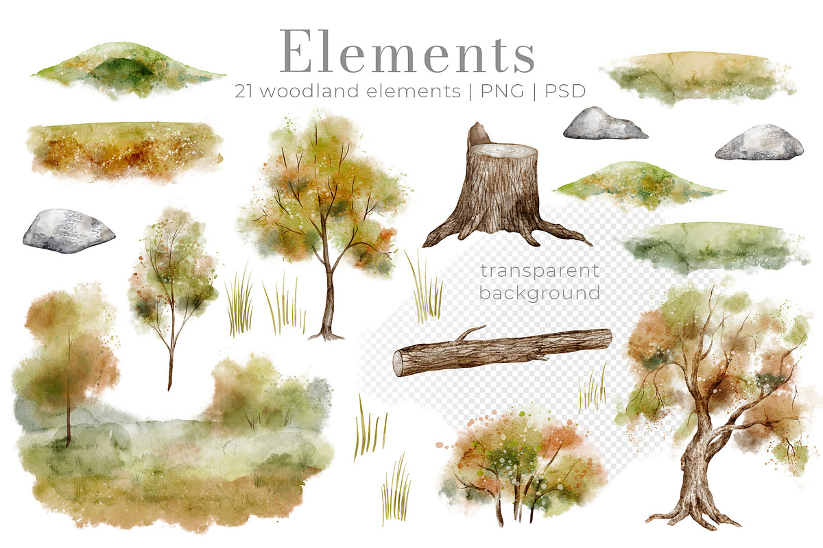 Woodland Animals Watercolor Clipart, an Illustration by Alisles (Photo 6 of 18)