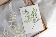 Watercolor greenery clipart, an Object Graphic by MyLittleMeow (Thumbnail 3 of 8)