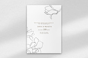 Vector Line Art Flowers Magnolia, a Decorative Illustration by MilanaDesignShop (Thumbnail 4 of 4)
