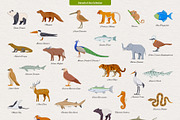 234 Animals of the World, an Animal Illustration by Genestro Shop (Thumbnail 3 of 7)