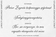 Straight Neckline - Font, a Script Font by Arendxstudio (Thumbnail 4 of 10)