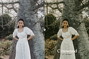 Cinewood Lightroom Presets, a Preset Add-On by Presetrain Co. (Thumbnail 9 of 10)