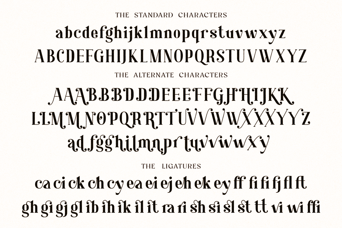 Shafira, a Serif Font by Umitype (Photo 14 of 16)