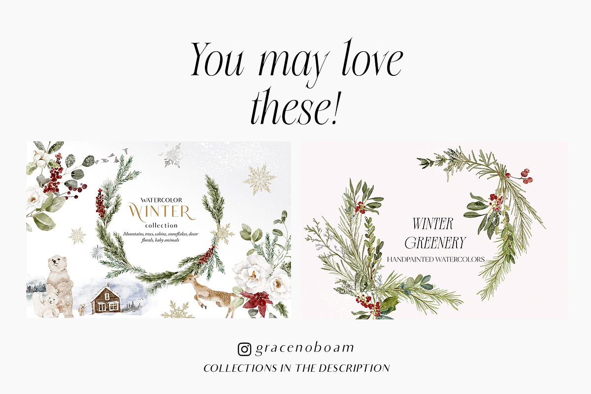 Christmas Floral watercolor graphics, a Decorative Illustration by Grace Noboa Illustrations (Photo 15 of 15)