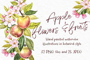 Apple Graphic & Watercolor clipart, a Healthcare Illustration by Ann Astro (Thumbnail 2 of 5)