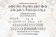 Shiny Wedding | Script Font, a Handwritten Font by Scratchones (Thumbnail 7 of 9)