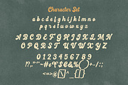 Rodeos - Retro Bold Script Font, a Script Font by HansCo Studio (Thumbnail 7 of 7)