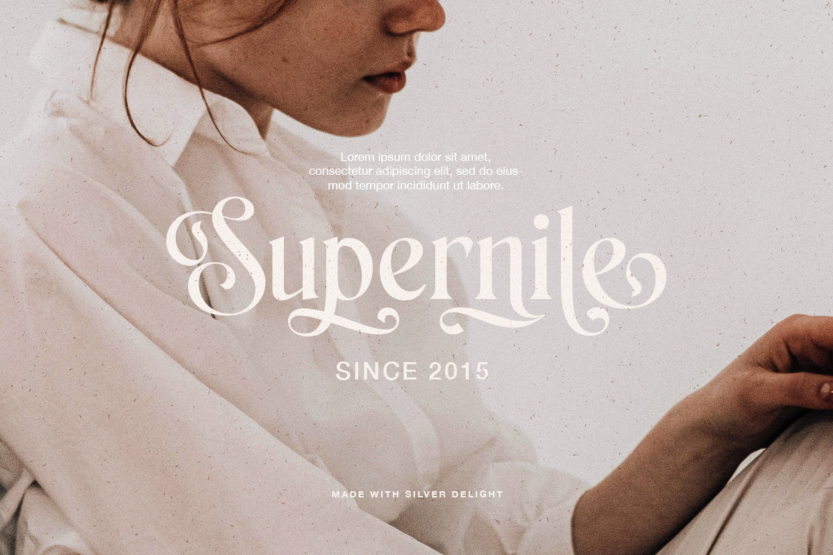 Silver Delight Modern Serif, a Serif Font by Letterhend Studio (Photo 5 of 10)