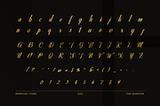 Warlista Wedding Script Font, a Script Font by Graphicxell (Thumbnail 8 of 8)