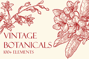 Engraved Botanicals, a Decorative Illustration by dariikos (Thumbnail 1 of 5)