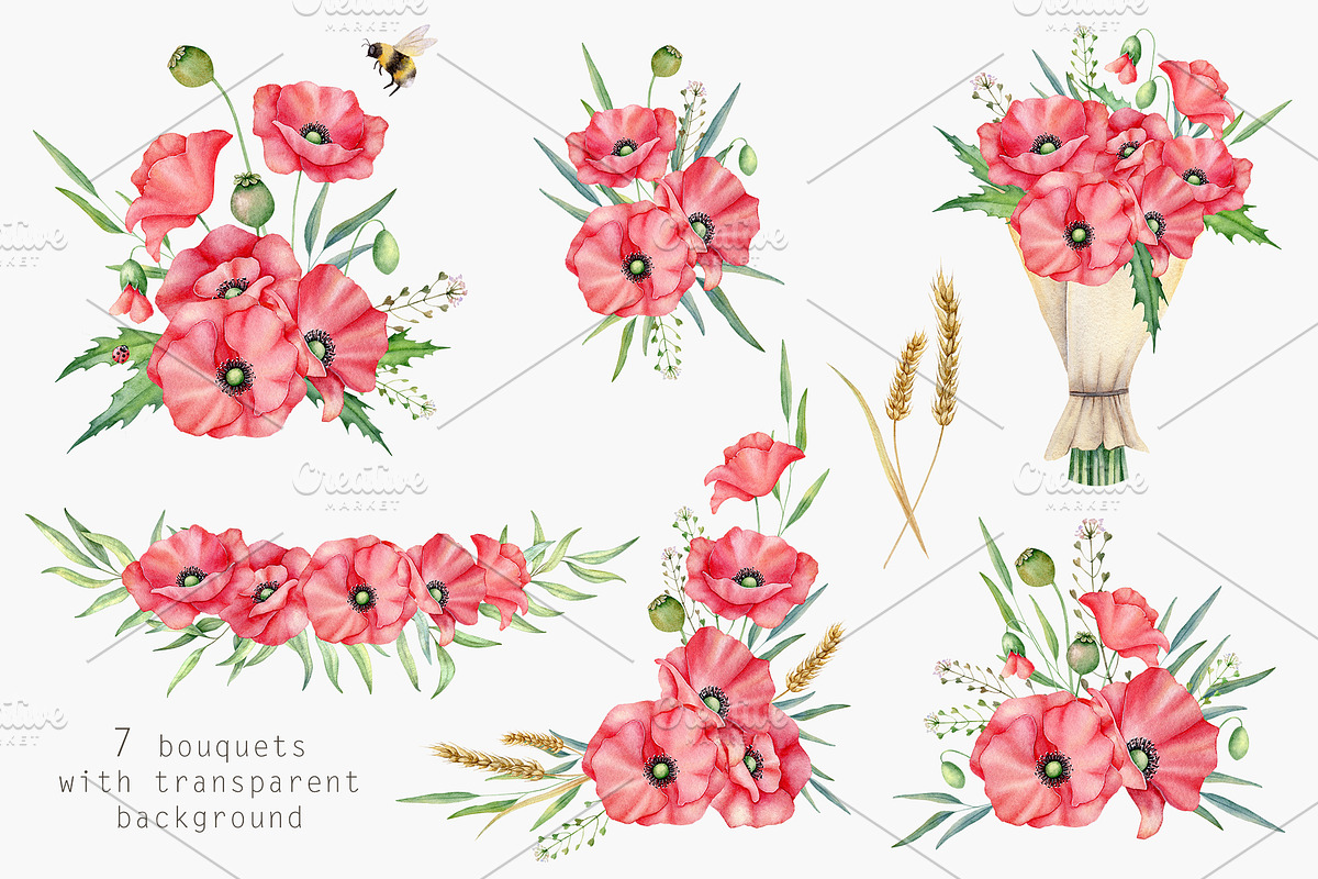Poppies clipart Watercolor, an Illustration by Daryartsy (Photo 5 of 14)