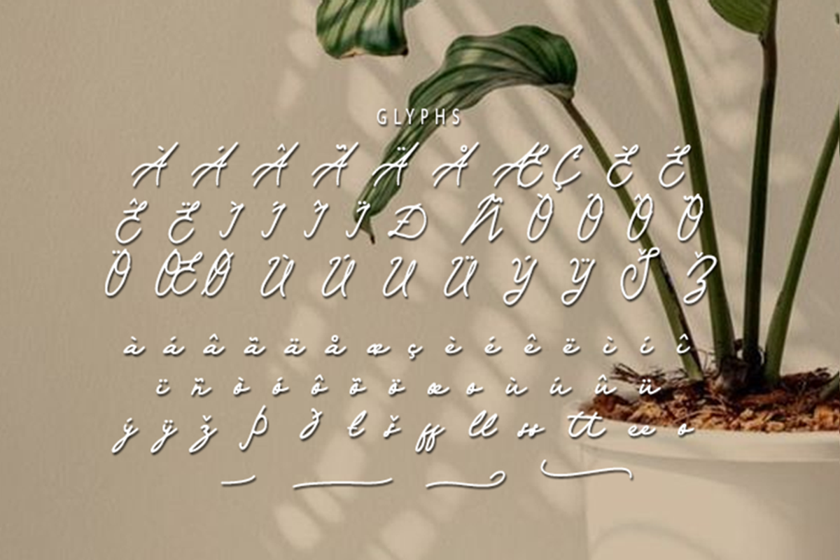 Kaldera, a Handwritten Font by GlottaTypeface (Photo 7 of 8)
