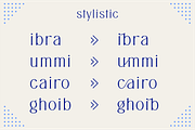 Asides - Family Serif Font, a Serif Font by ManType (Thumbnail 4 of 8)